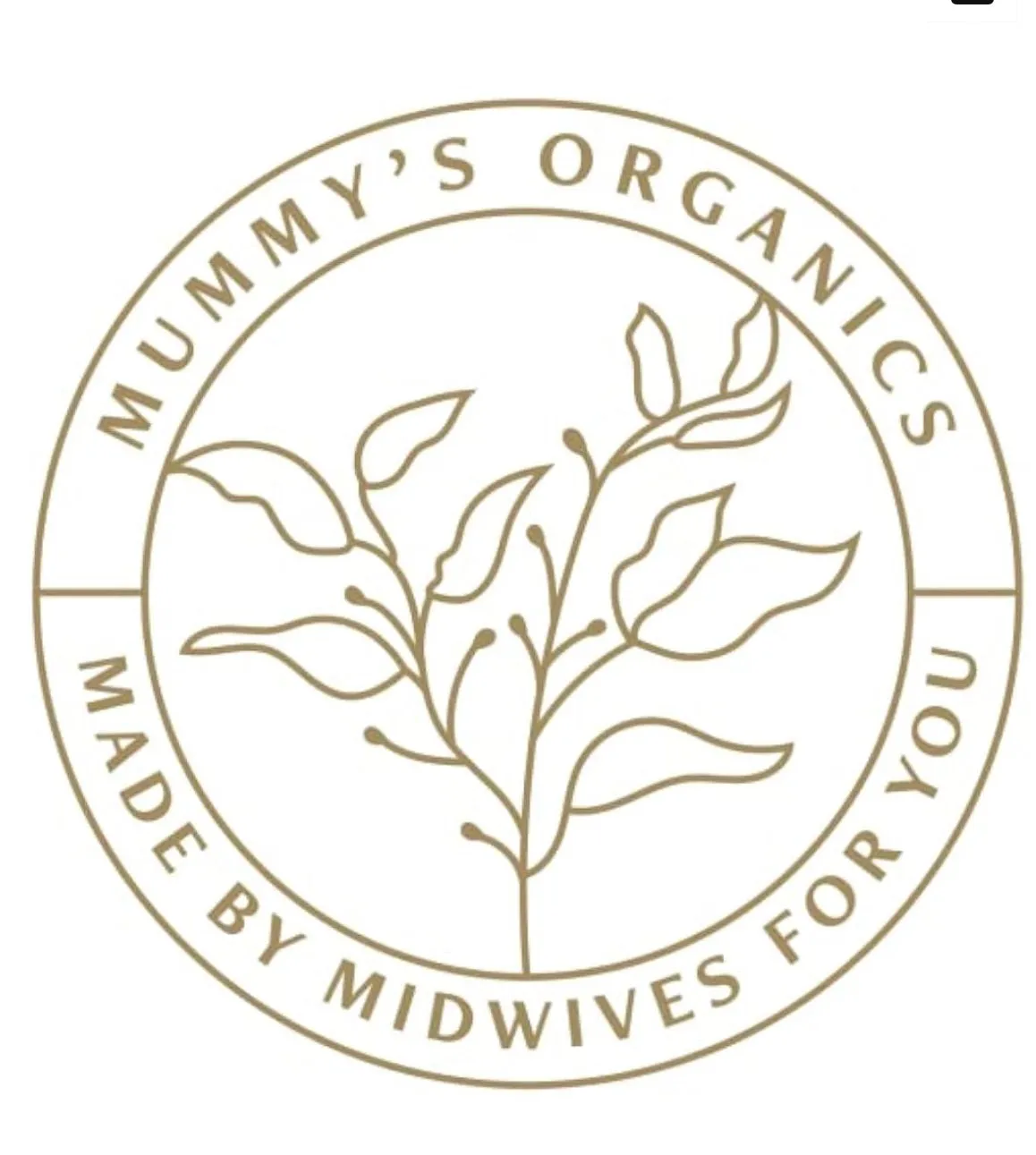 Digestive Tea Organic - Mummy's Organics