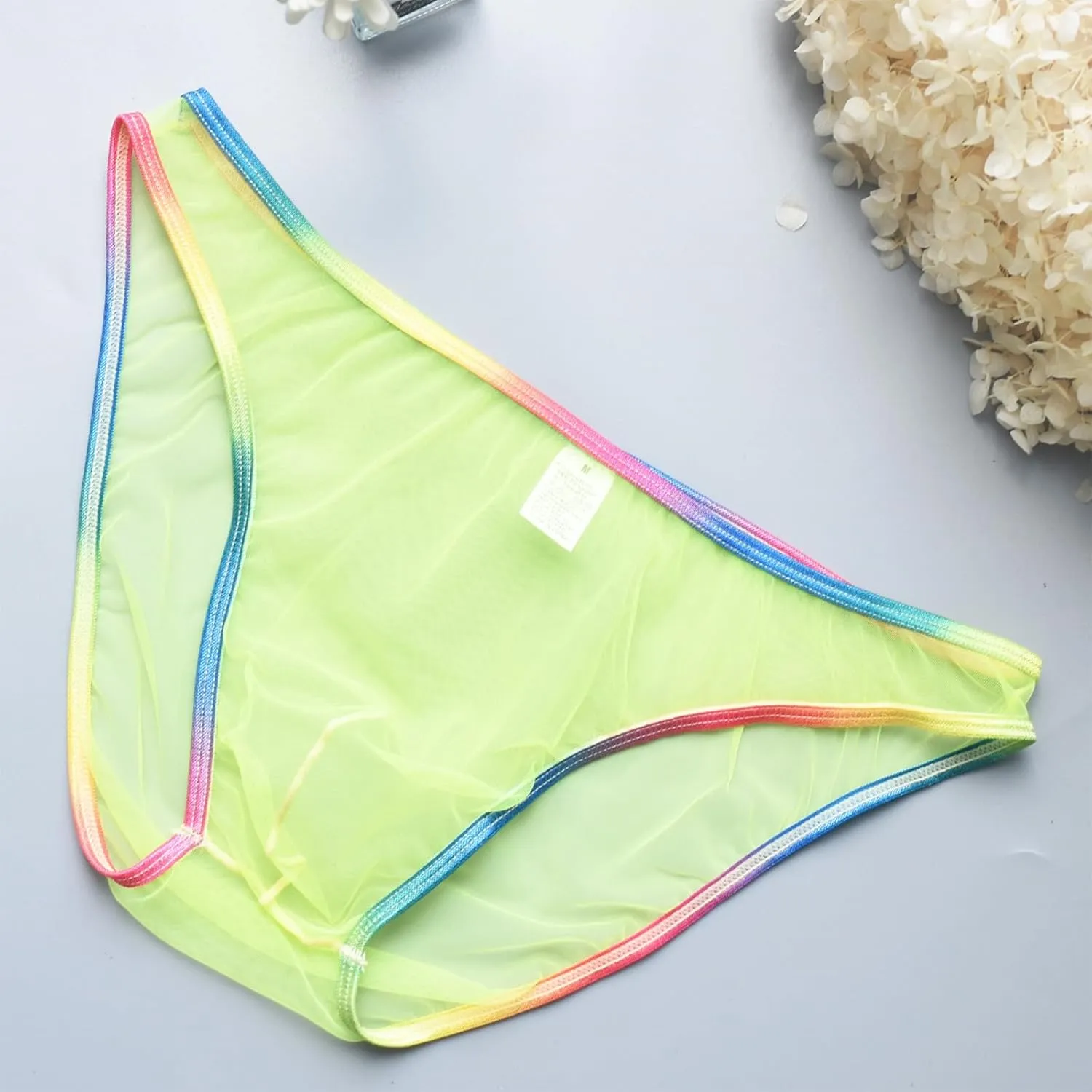 Sexy Men's Brief Mesh See Through Low Rise Underwear U Shaped Pouch Fun Underwear Comfort Breathable Lingeries Panties